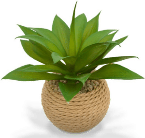 Künstliche Pflanzen - Kleine Agave