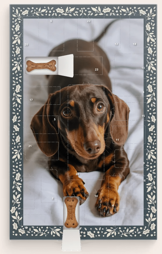 Adventskalender für Hunde - mit Foto